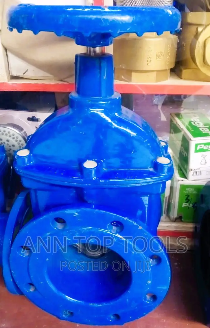 Sluice Valve 6" Inch