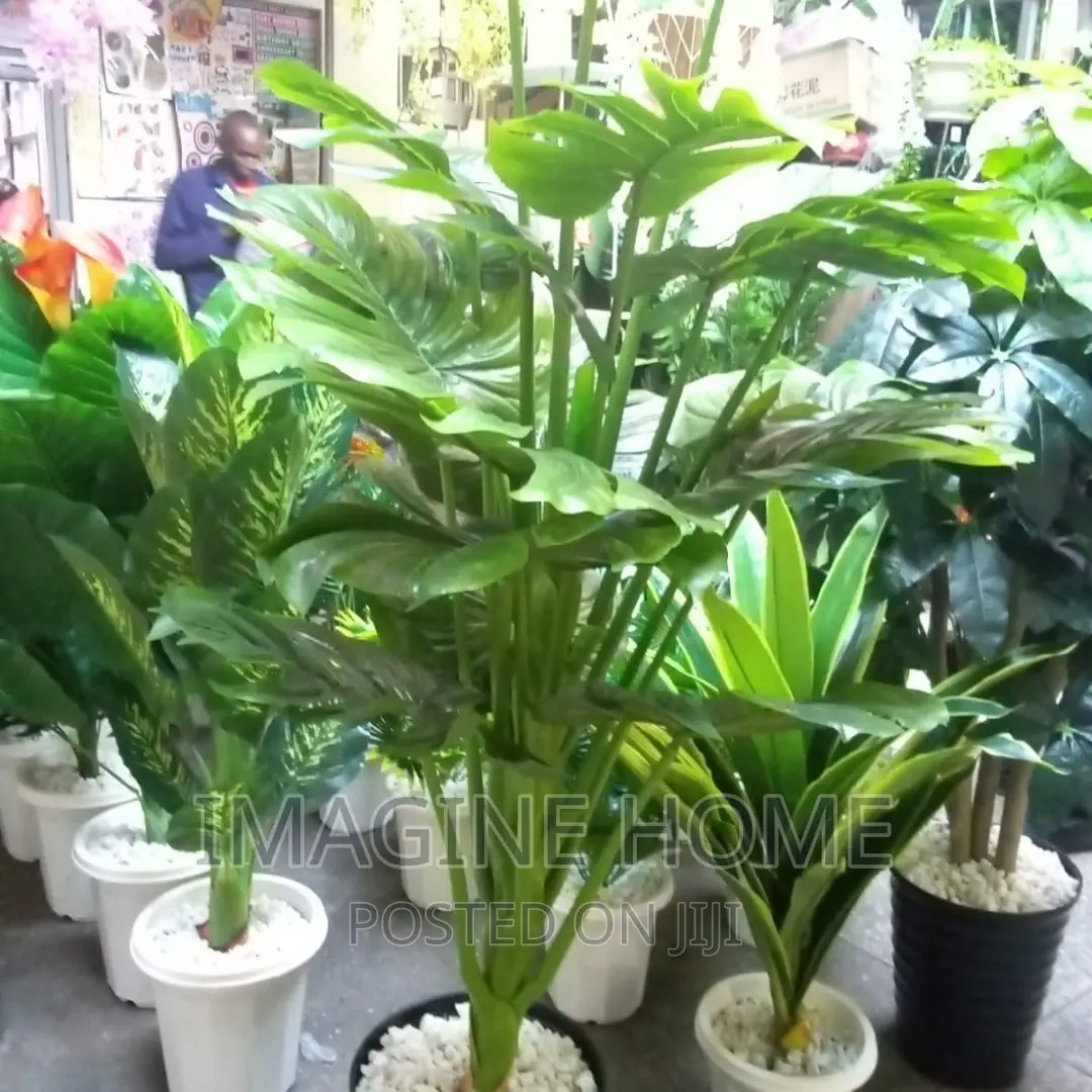 Artificial Green Plants