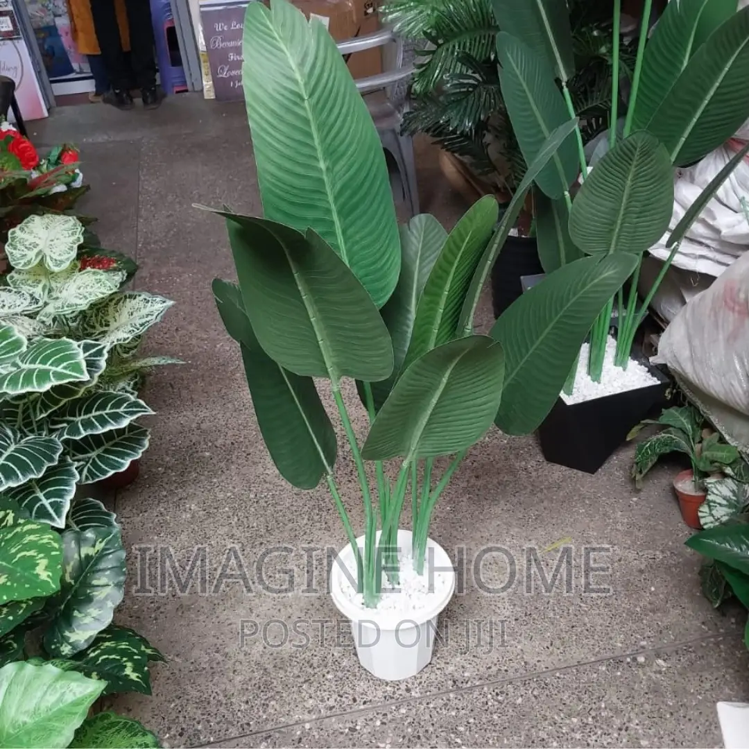 Artificial Plants