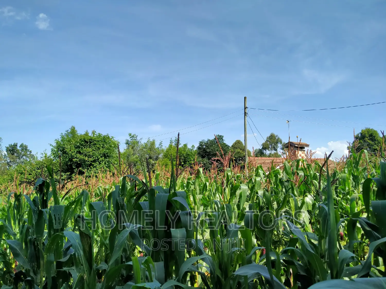 Half Acre Plot in Ngong Behind ACK Church