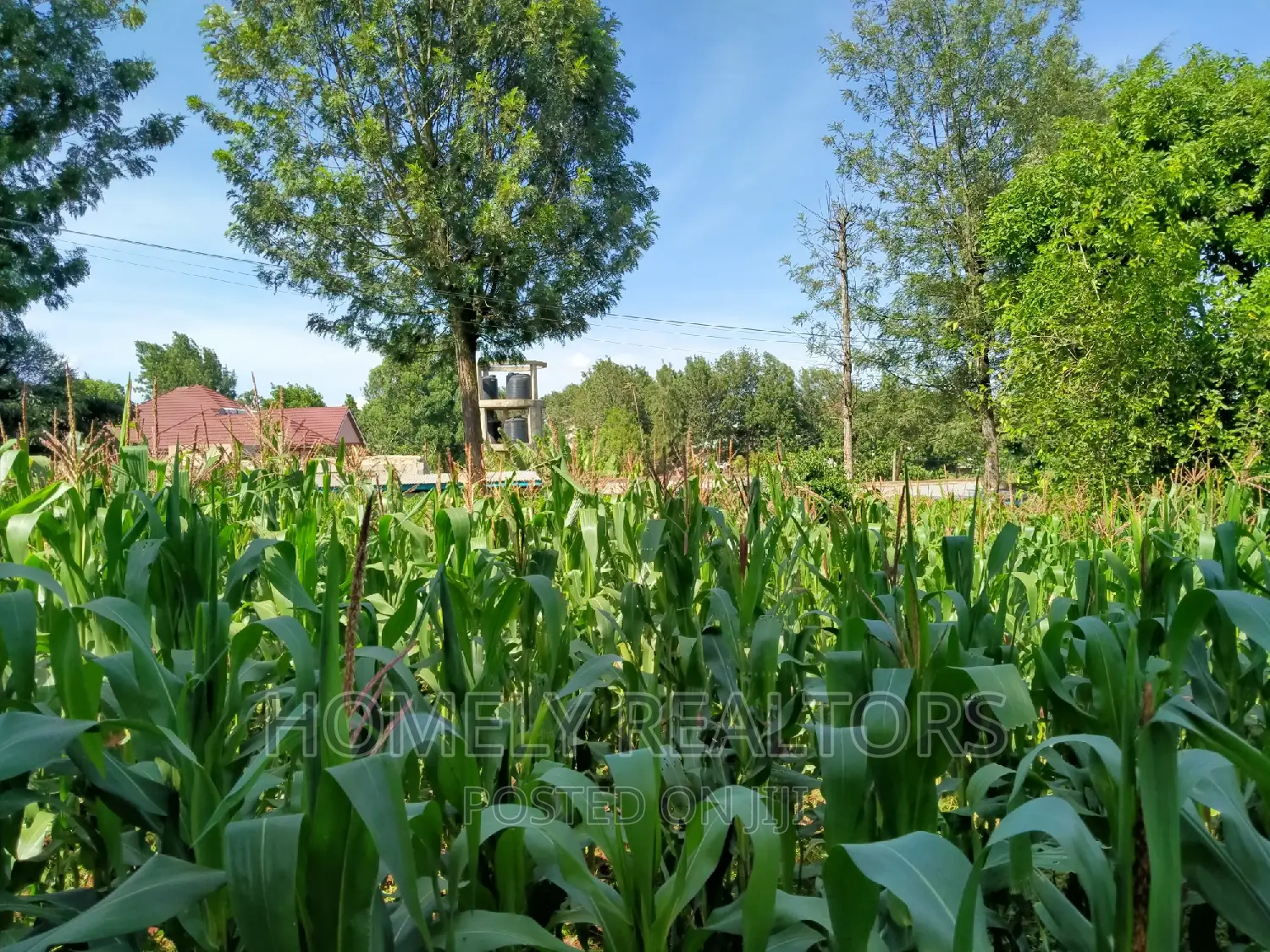 Half Acre Plot in Ngong Behind ACK Church