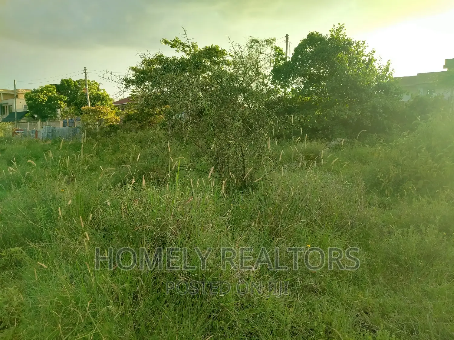 Half Acre Plot in Kandisi 200 Meters From the Tarmac