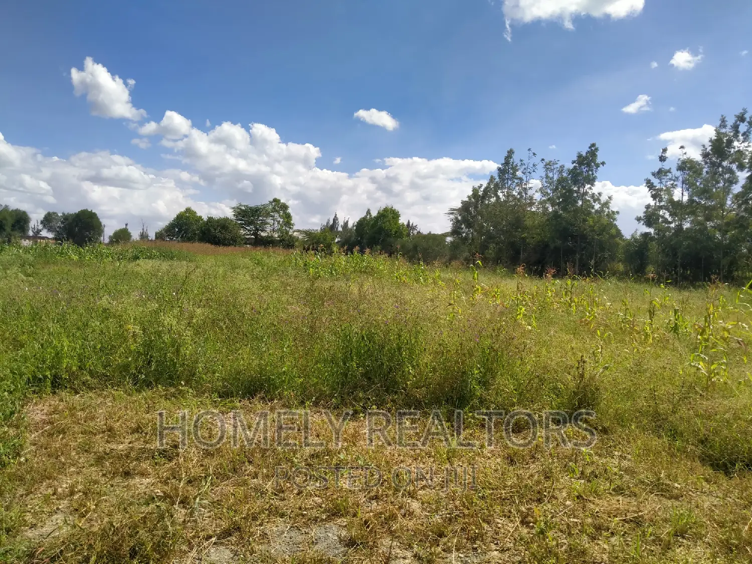 Eighth Acre Plot in Kiserian GP in Upcoming Gated Community