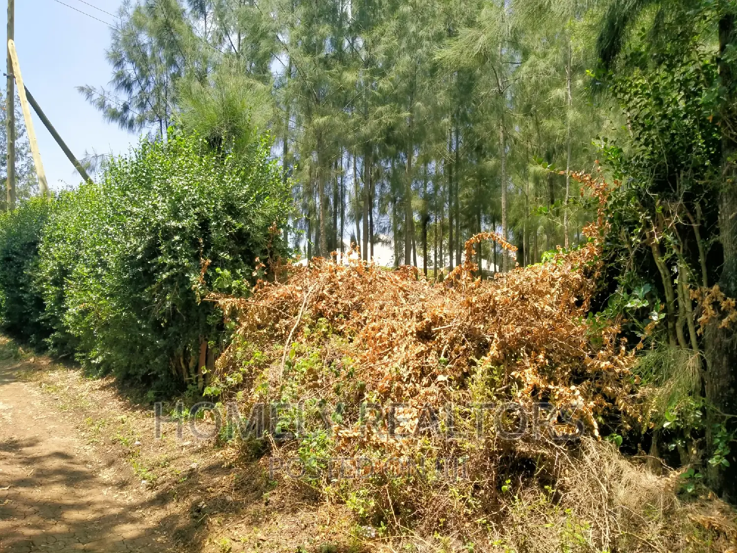 Eighth Acre Plot In Kiserian, Kaurai. Large With Trees