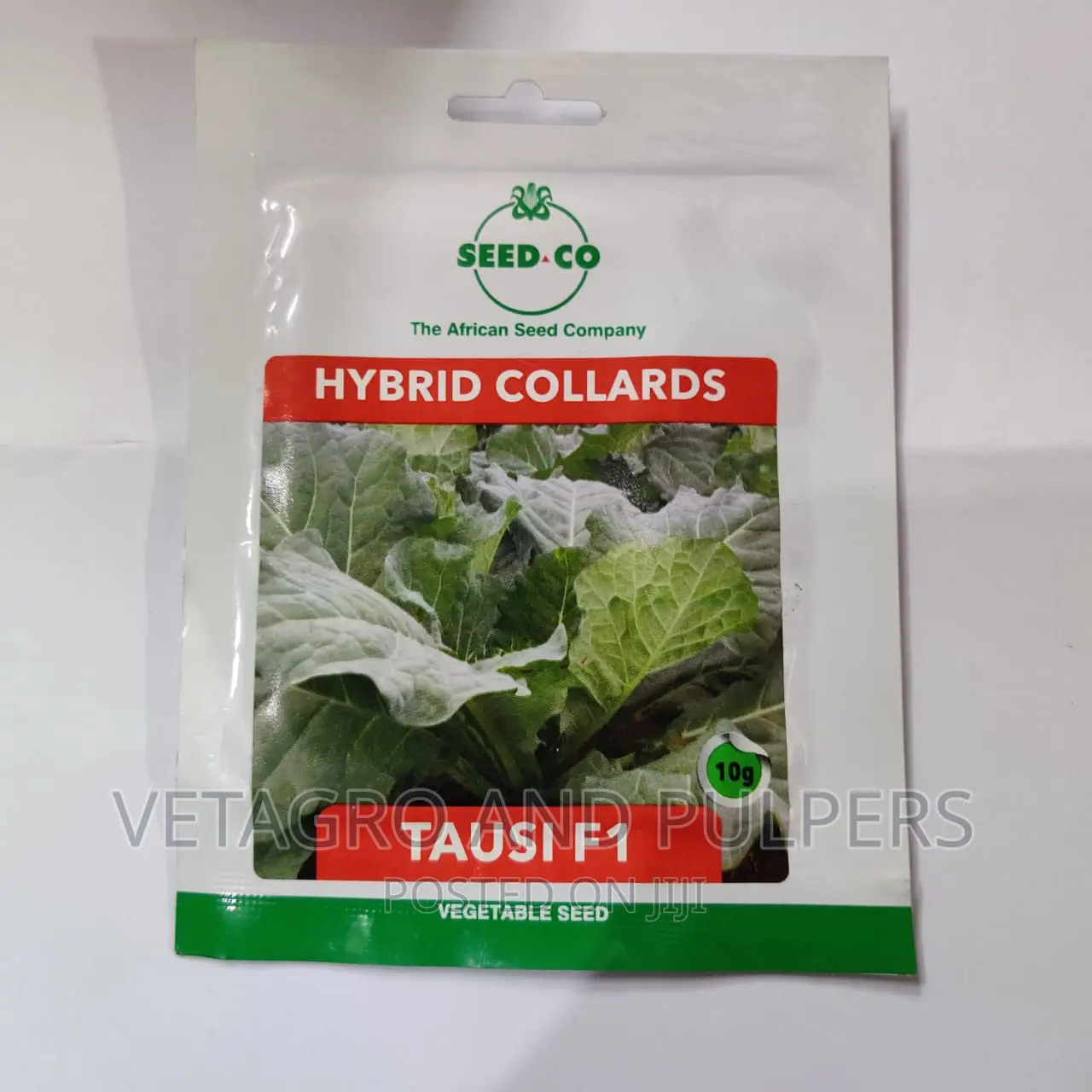 Hybrid Collards Tausi F1 Seeds