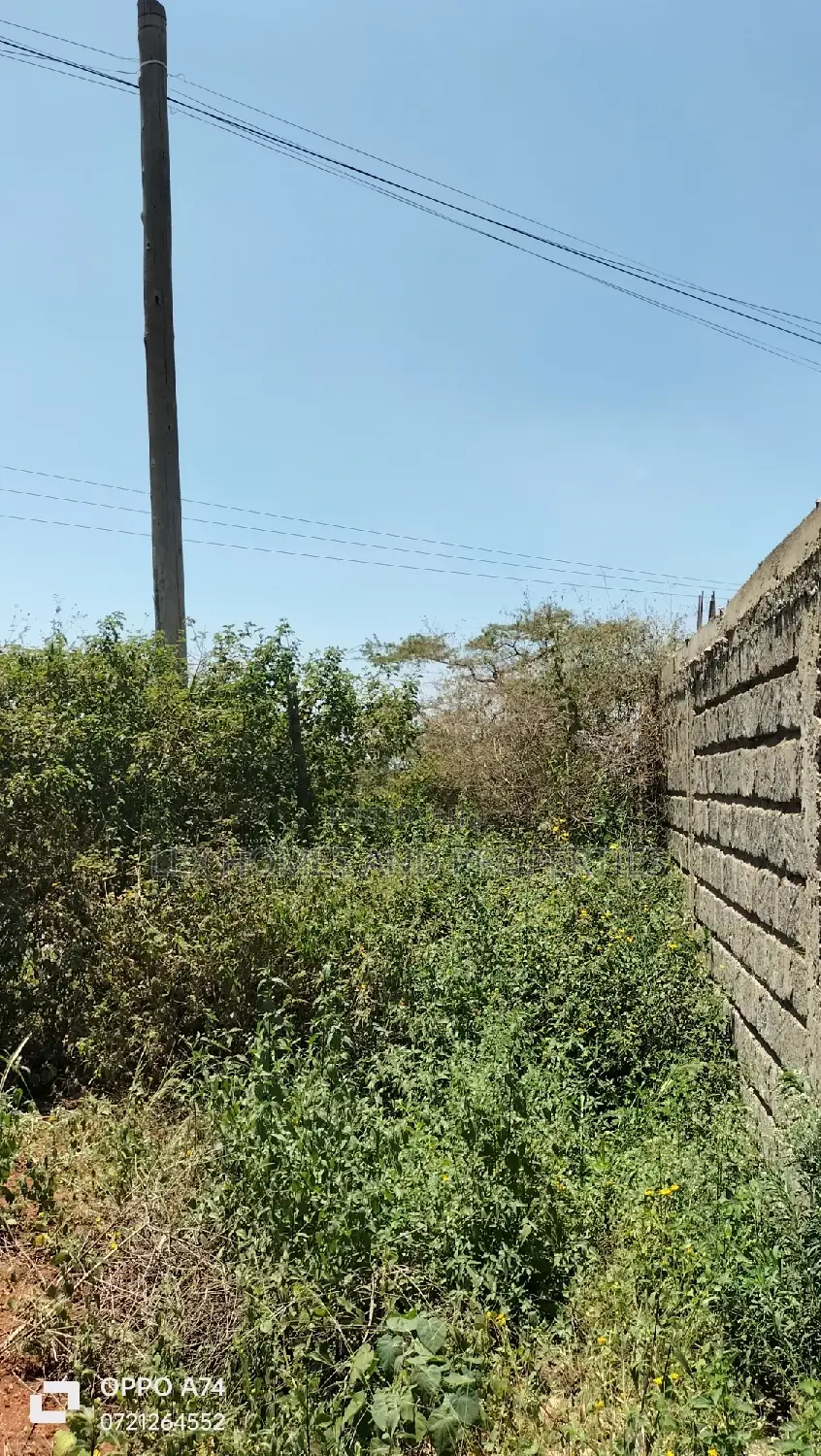 Quarter Acre at Muigai Inn Chai Estate