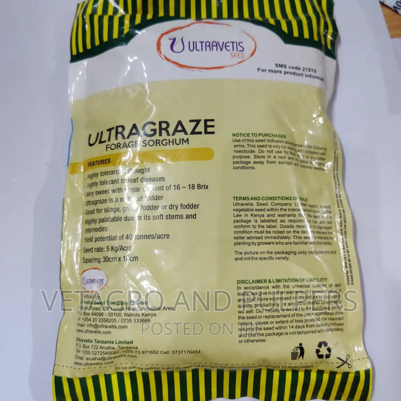 Ultragraze Forage Sorghum