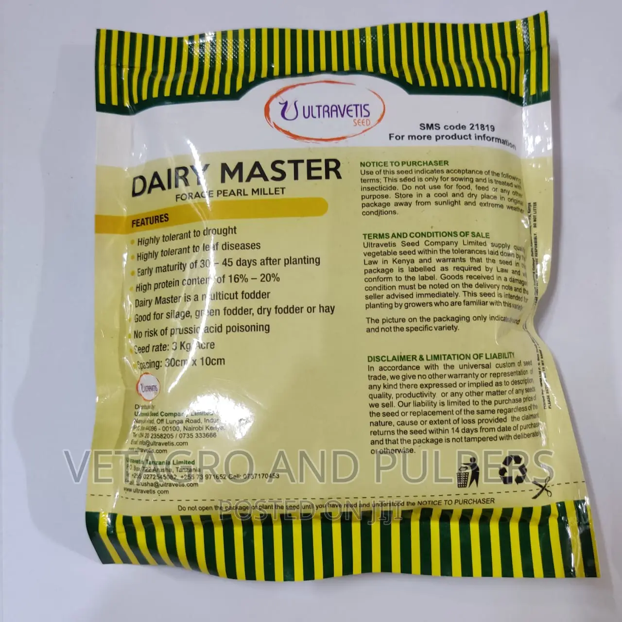 Dairy Master Forage Pearl Millet