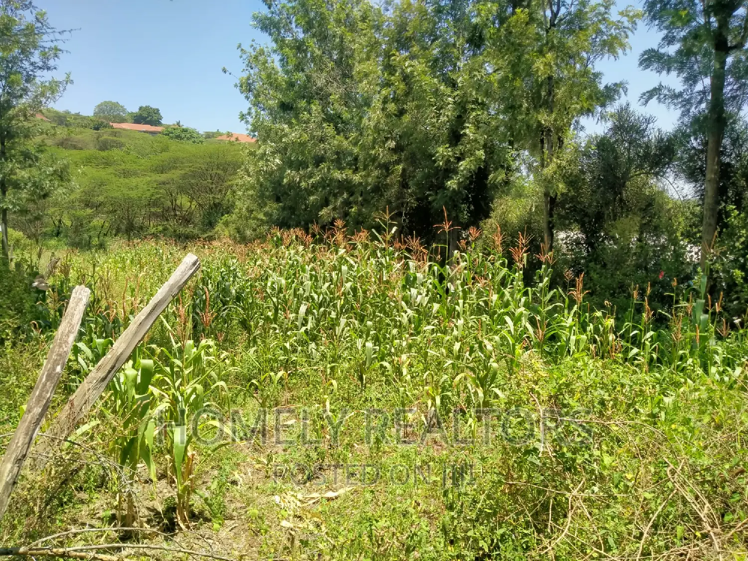 Quarter Acre in Ongata Rongai, Kandisi 600 MTRS From Tarmac