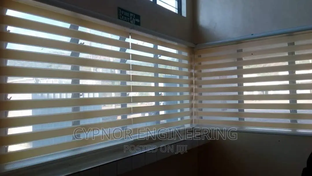 Zebra Blinds