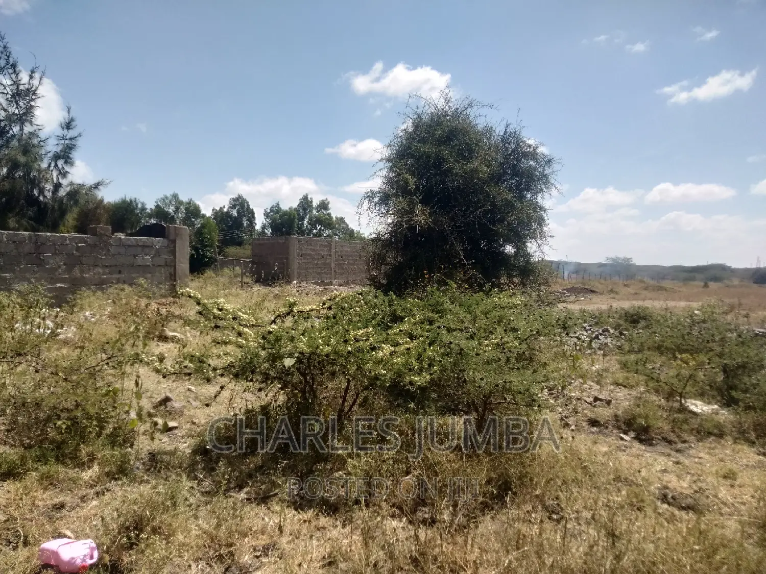 1/4 Acre Plot in Chuna B