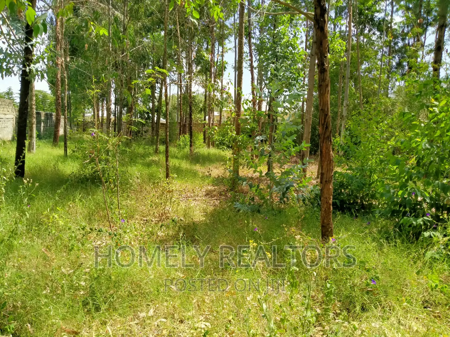 Half Acre Plot in Ongata Rongai, Rimpa Tarmac With Perimeter