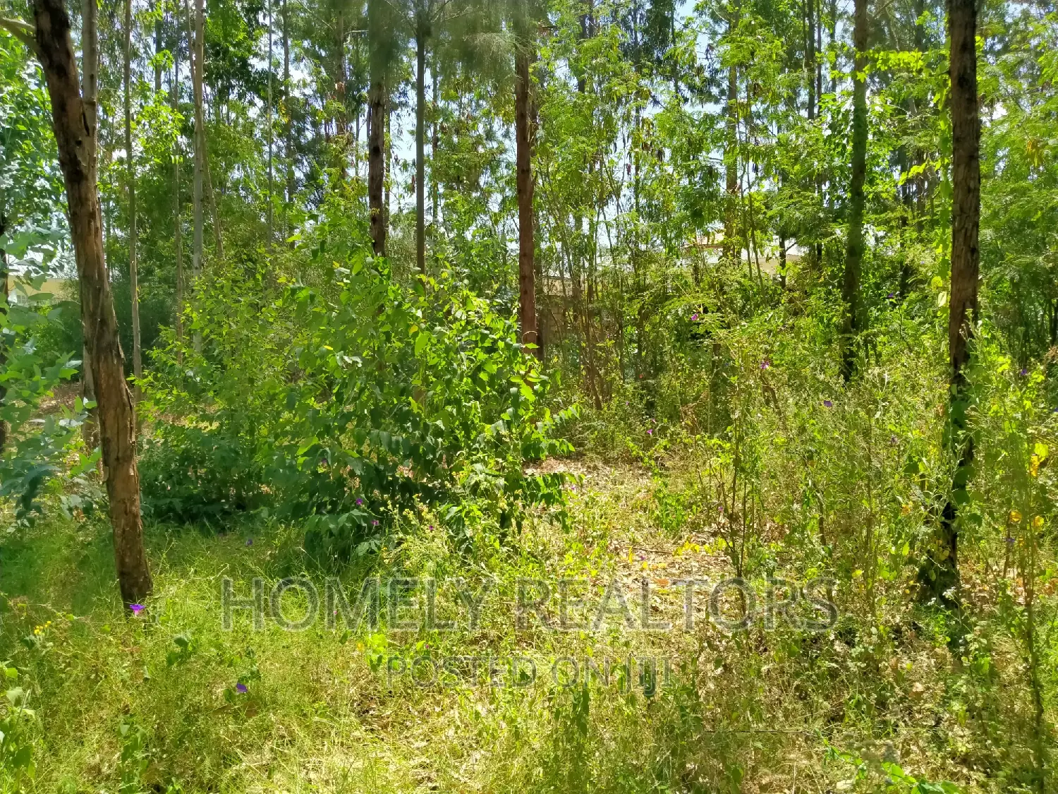 Half Acre Plot in Ongata Rongai, Rimpa Tarmac With Perimeter
