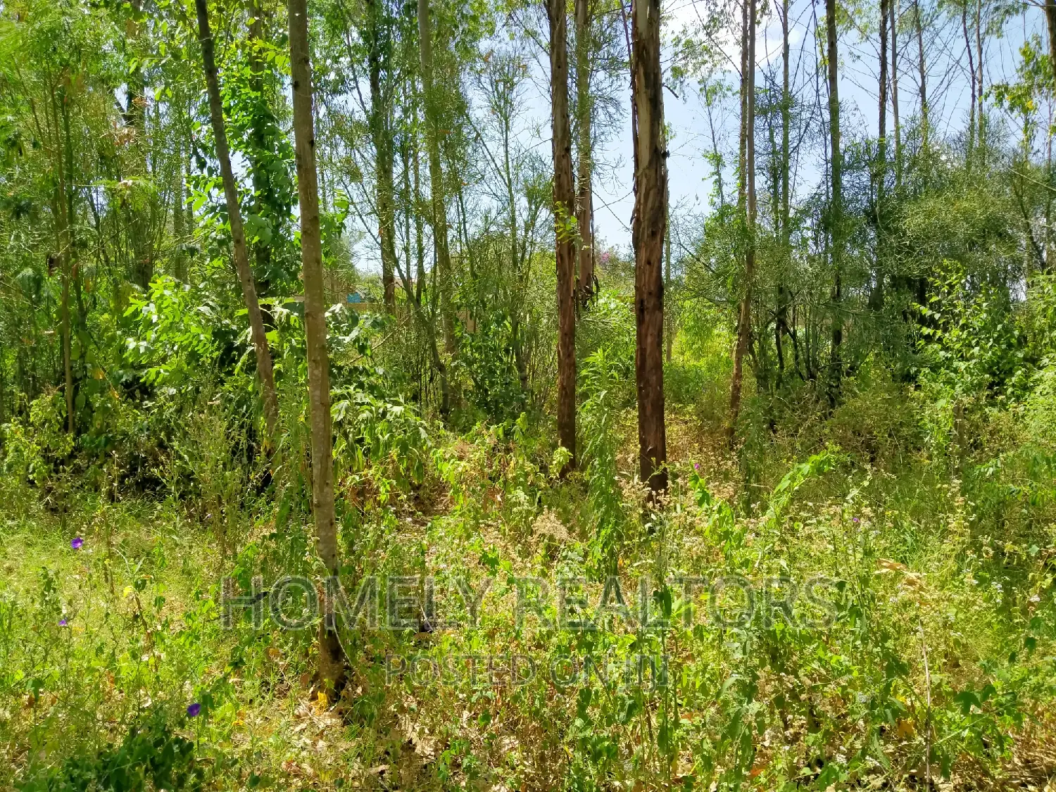 Half Acre Plot in Ongata Rongai, Rimpa Tarmac With Perimeter