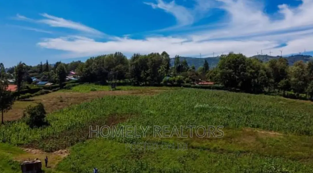 Eighth-Acre (50*100) Plots Ngong Along Masai Road Near CITAM