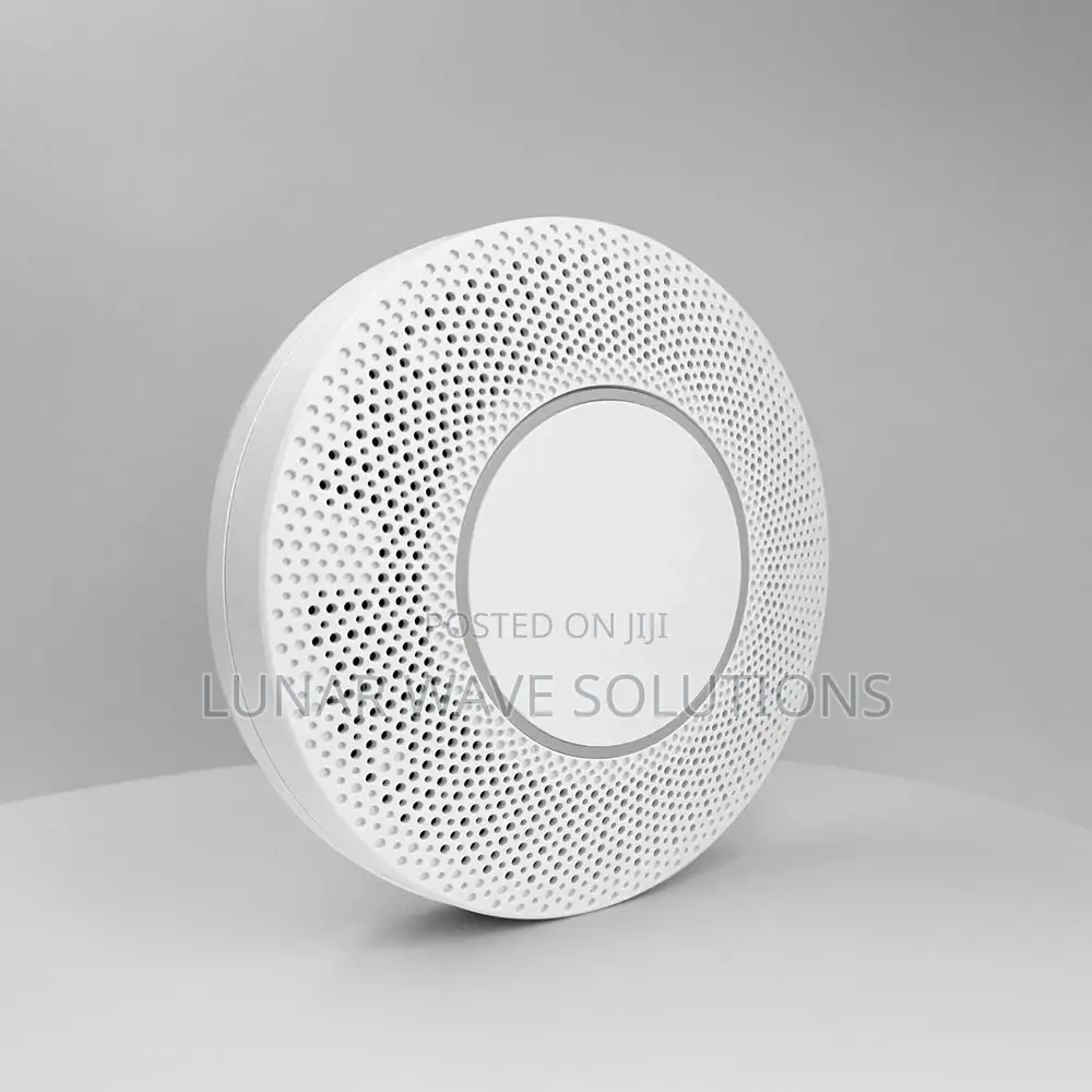 Internet Of Things (Iot) Gas Detectors
