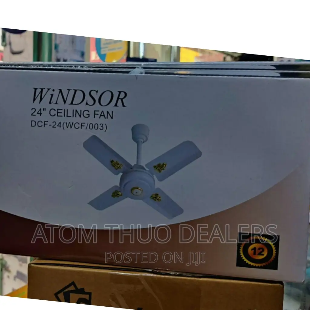 Windsor 24 Inches Ceiling Fan DCF24 WCF/003