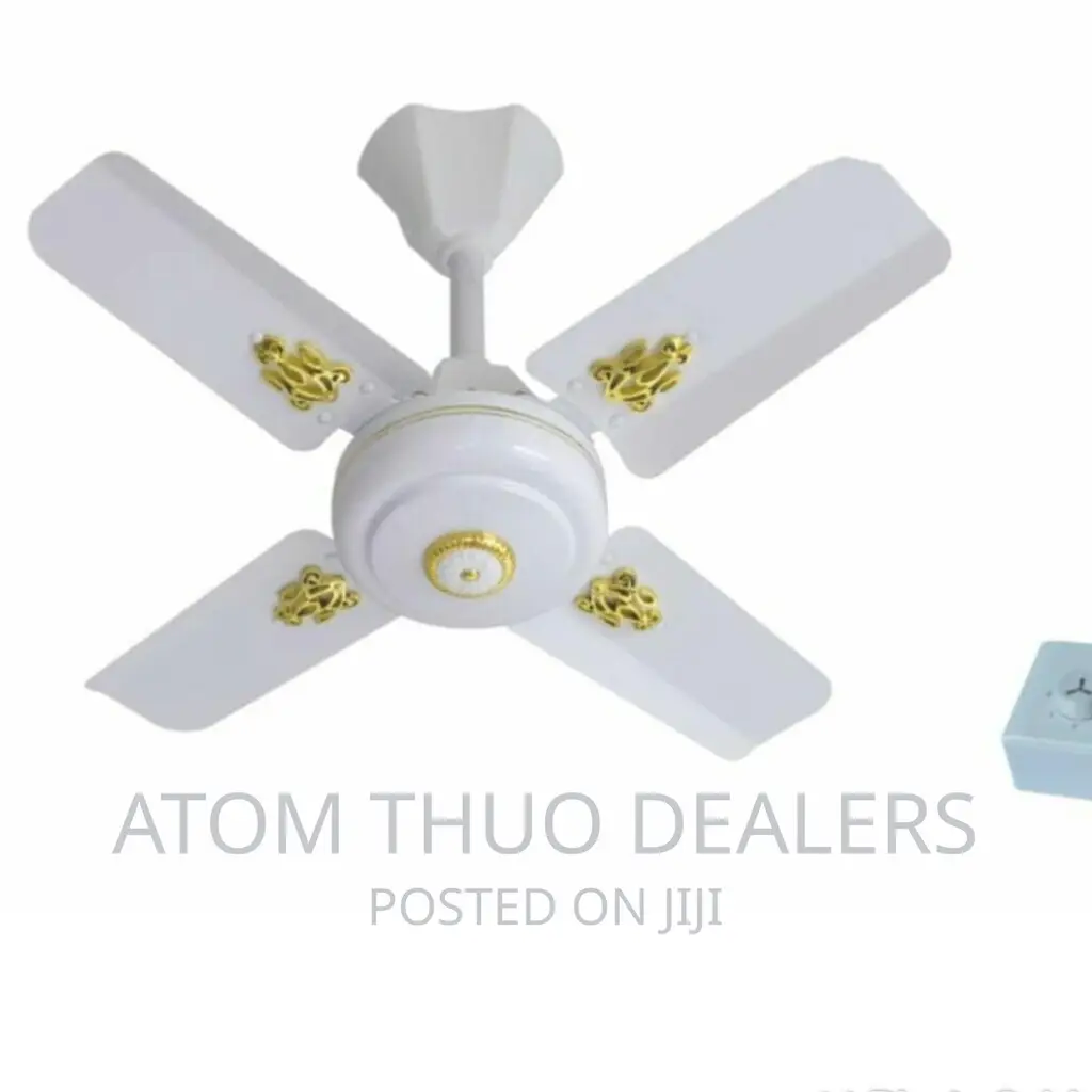 White Windsor Ceiling Fan 24 Inches
