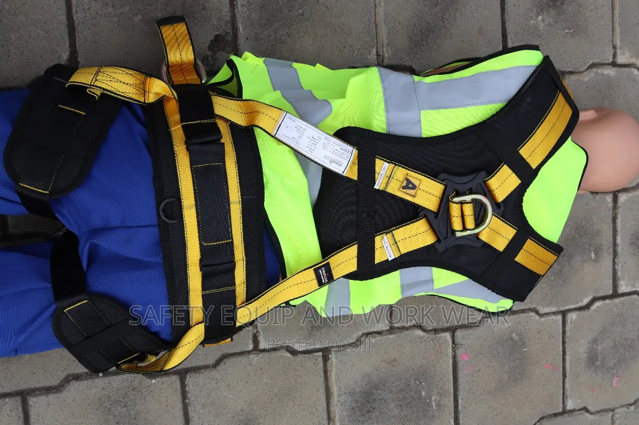 Get Durable Parnecia Harness With Anchor Points