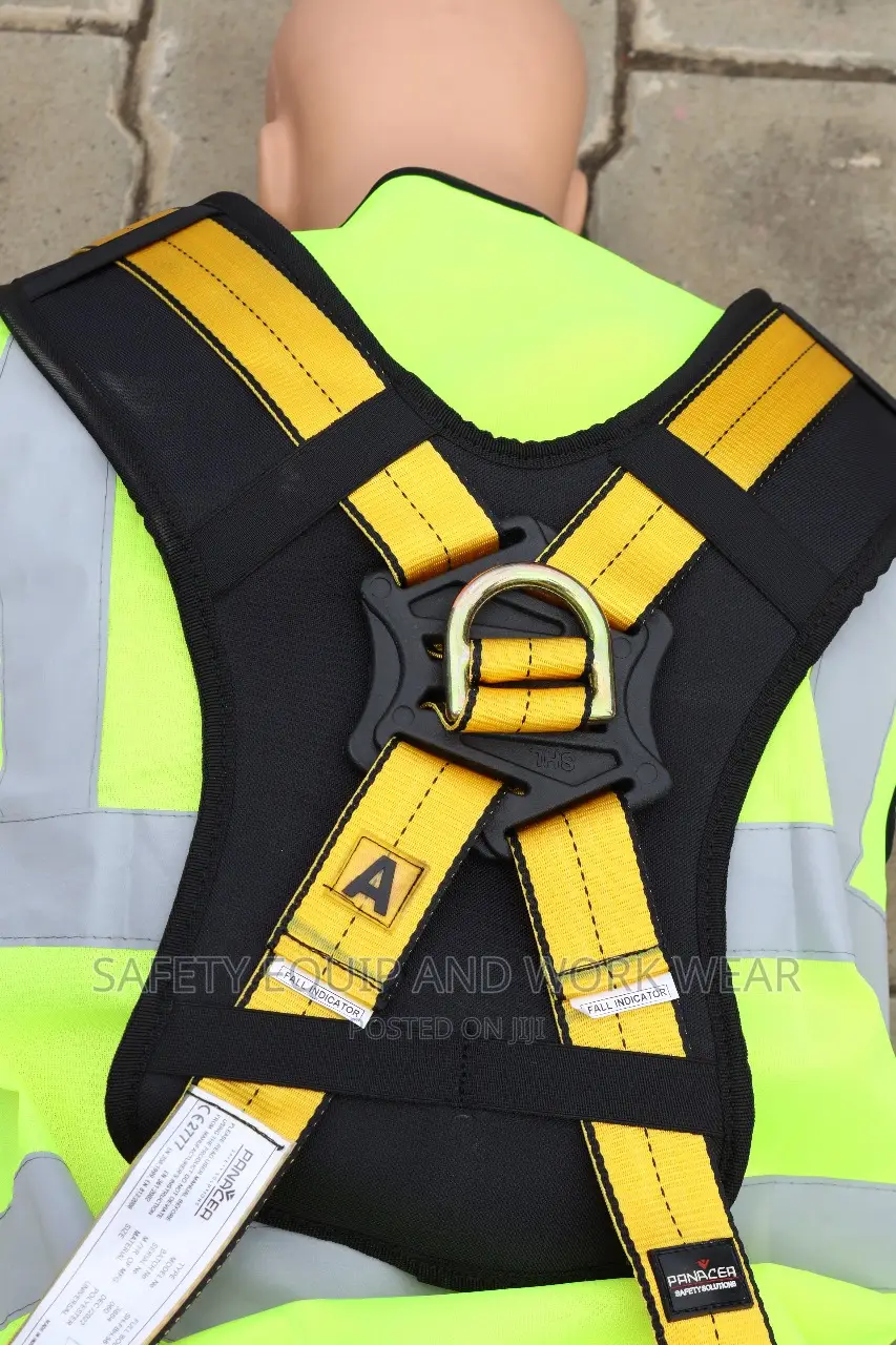 Parnecia Harness With High Visibility