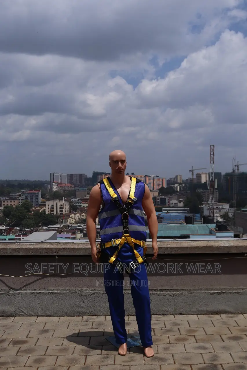 Get Visible Parnecia Harness At Discounted Price
