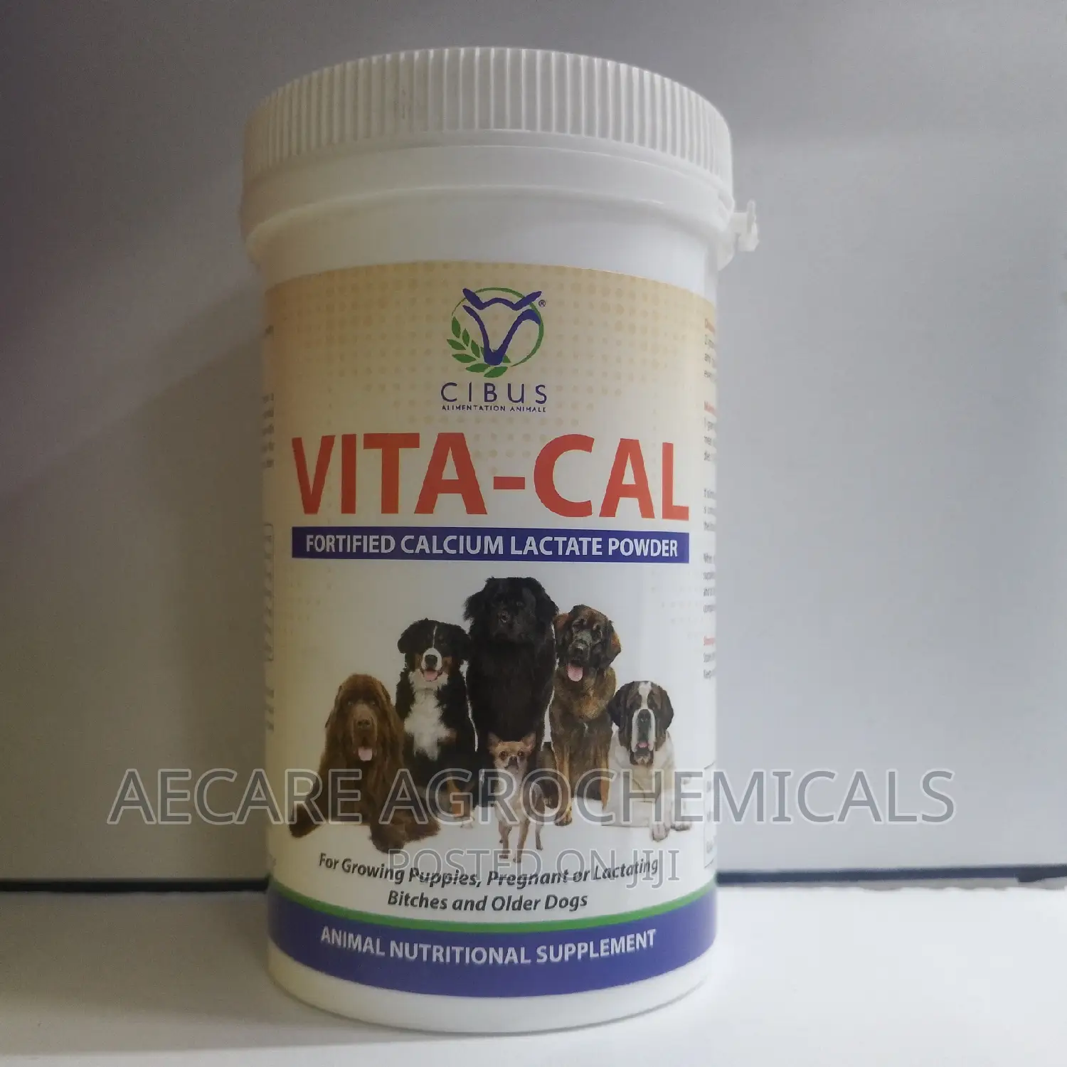 Vita-Cal Calcium Lactate Powder 200G Nutritional Sup