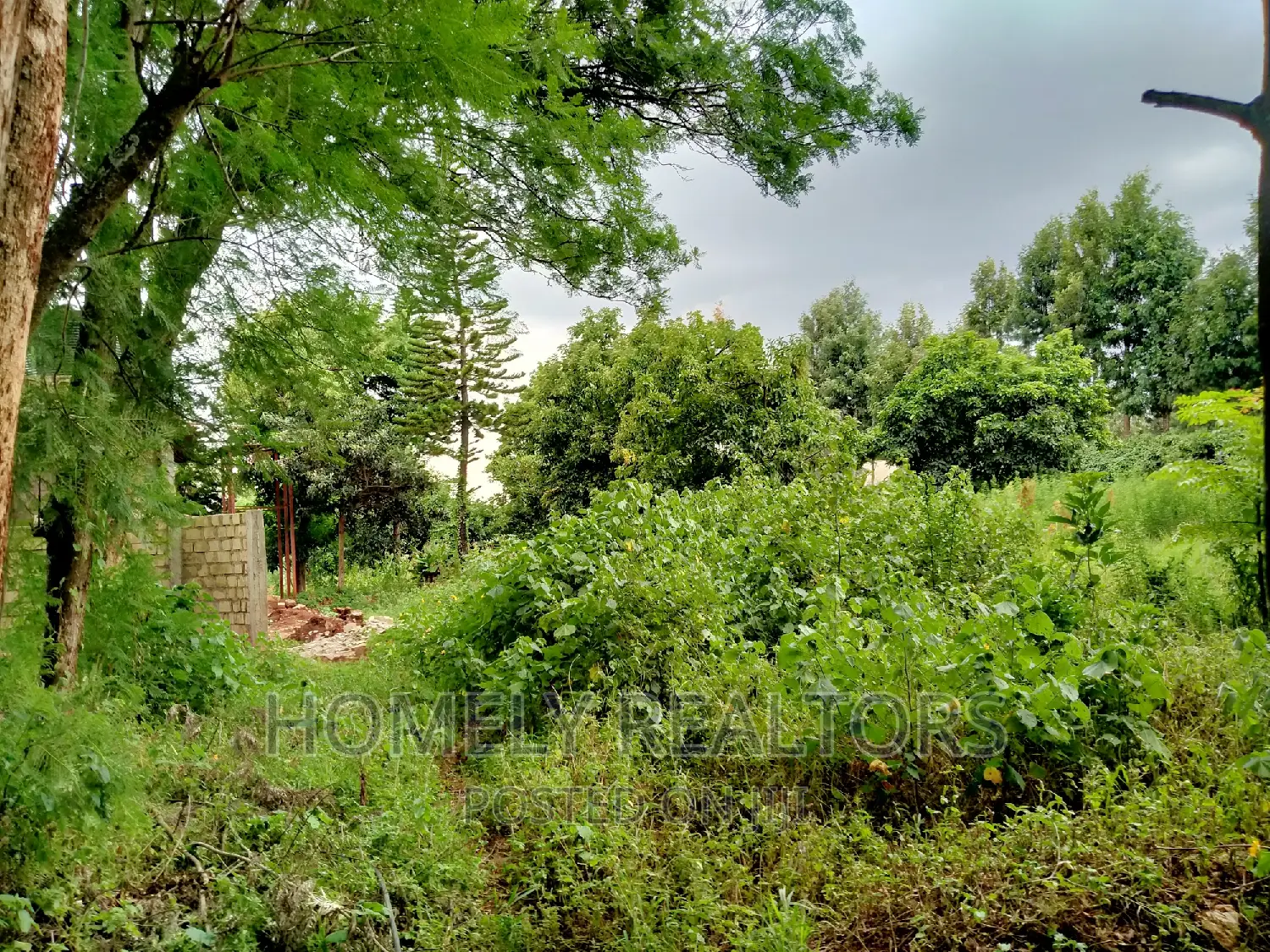 Quarter Acre Plot in Ngong Along Maragara Rd Touching Tarmac