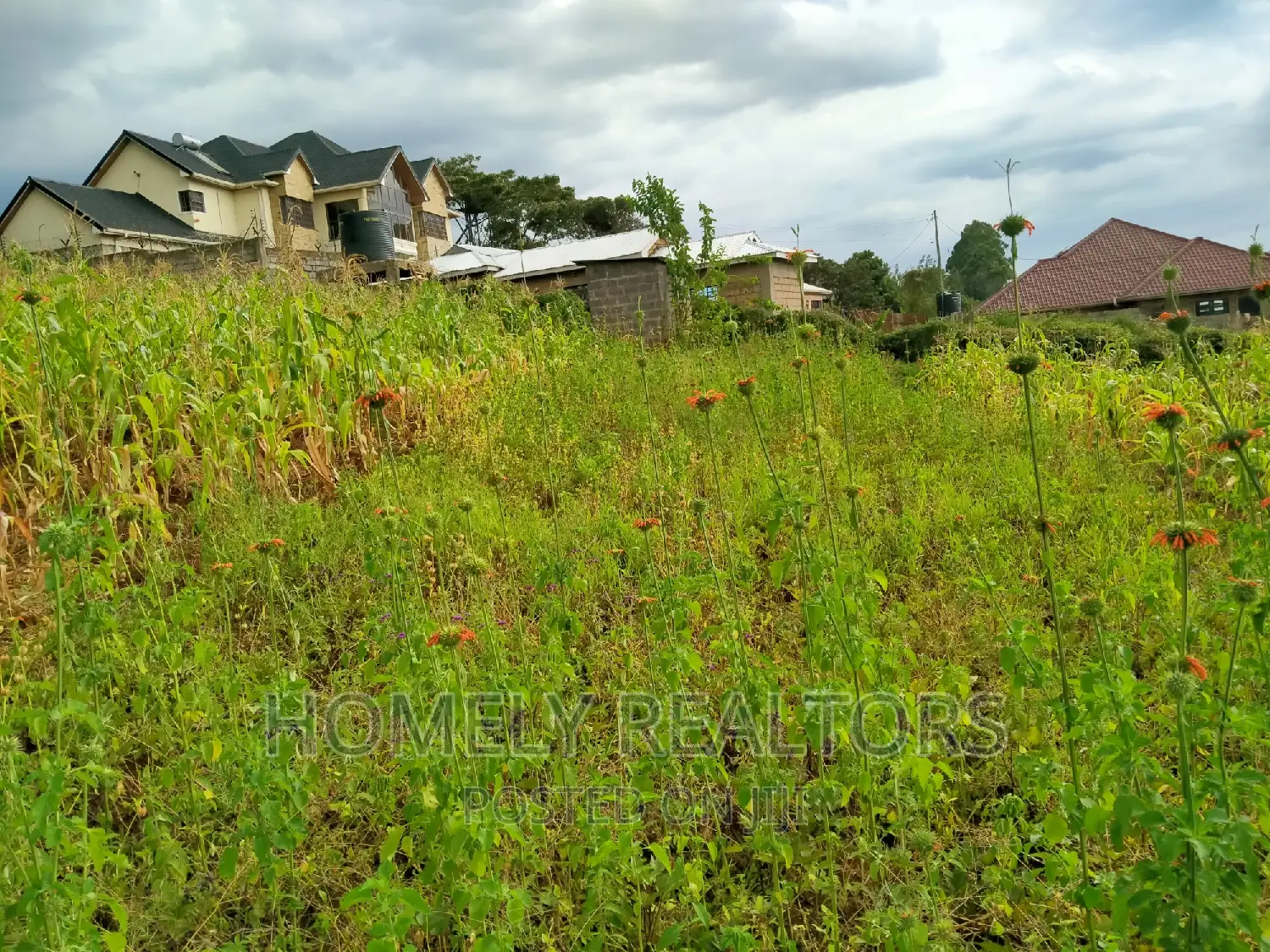 Residential Quarter Acre Plot in Ngong, Maragara. Red Soil
