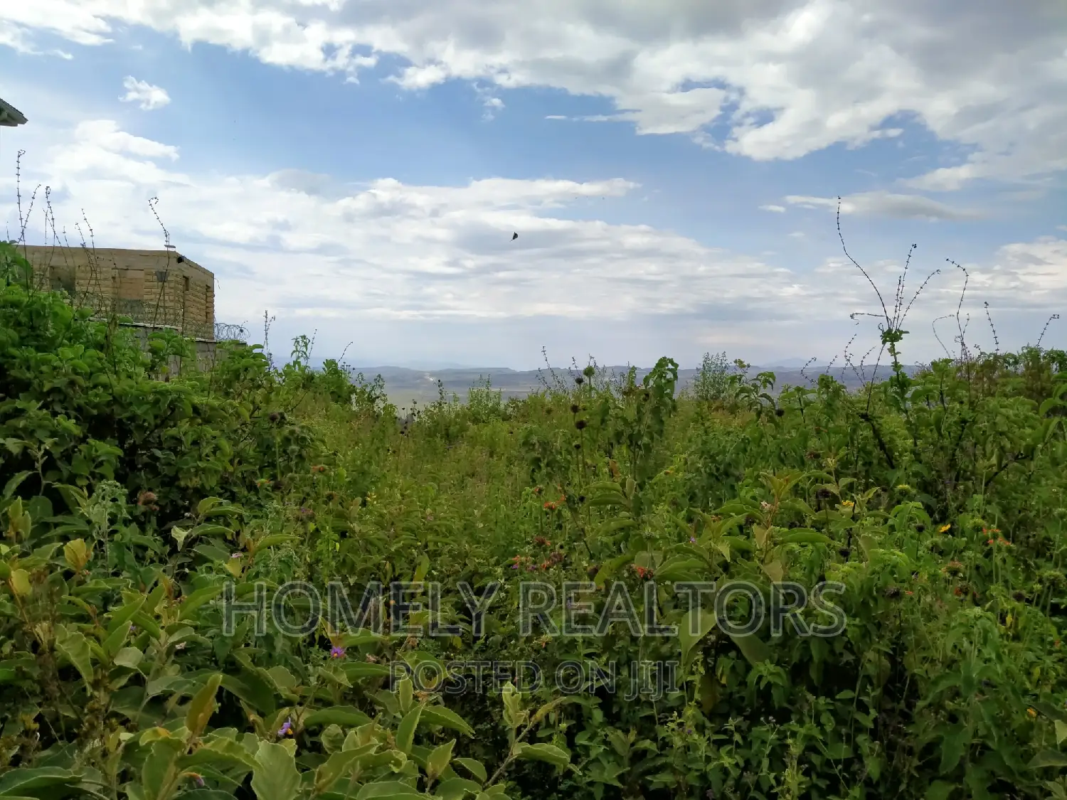5 Acres in Ngong Touching Tarmac. Rift Valley, Longonot View