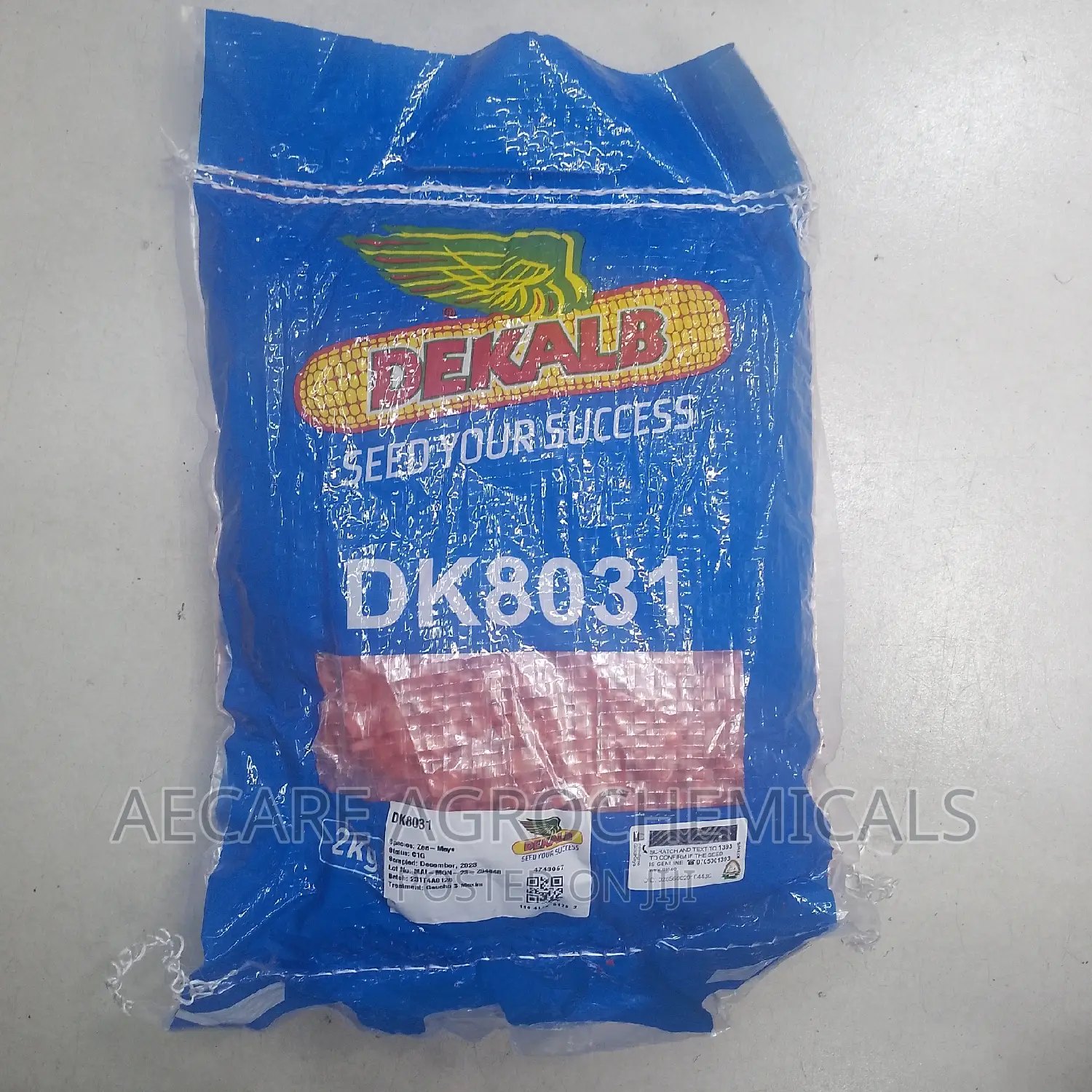 Dk 8031 Maize Seeds 2kg