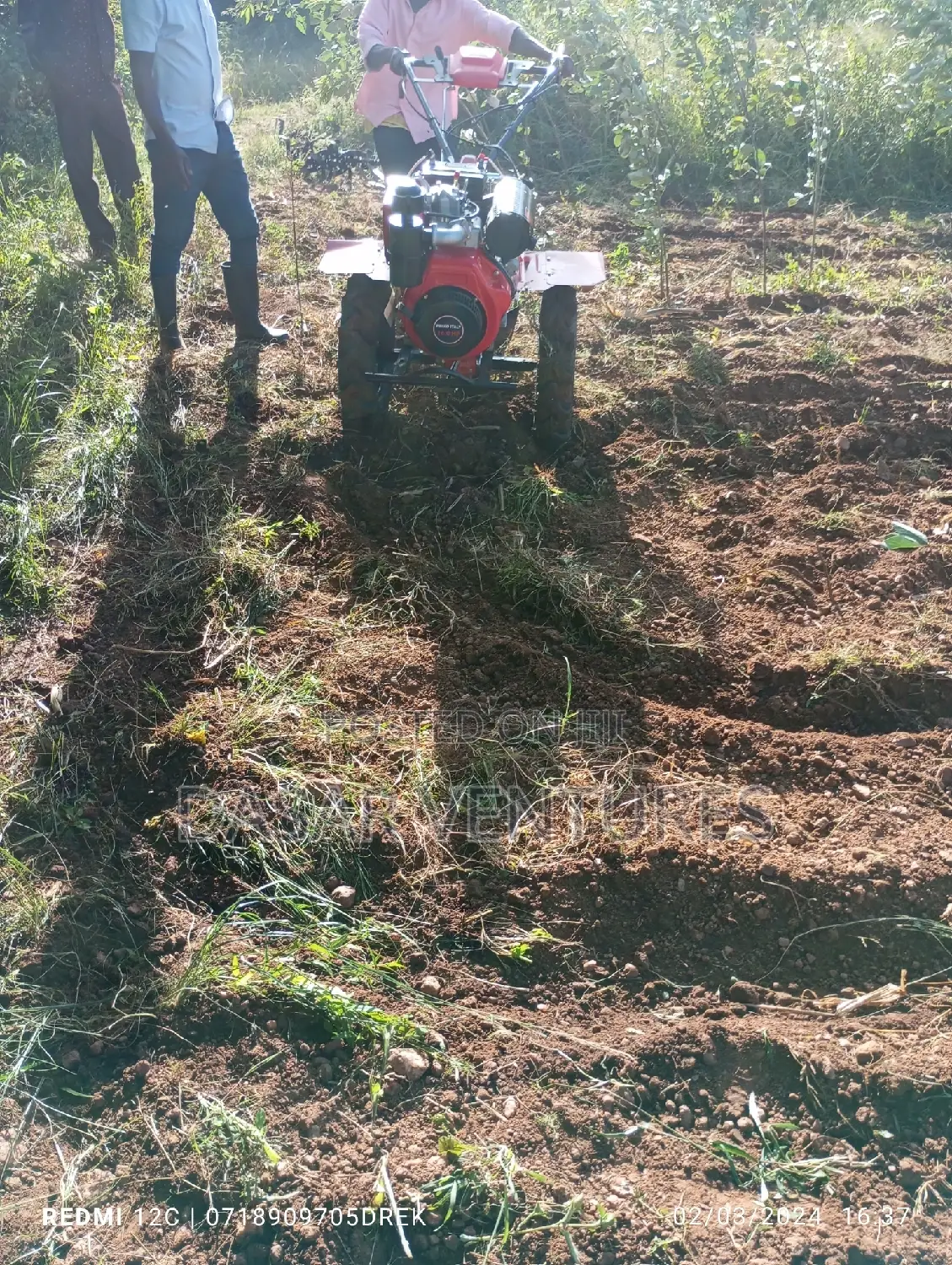 Power Tiller Primo Italy