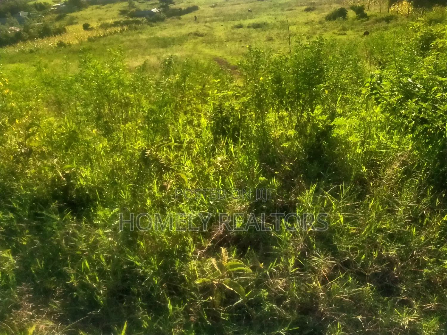 2 Acres for Sale in Ngong, Matasia 1.4km From Tarmac
