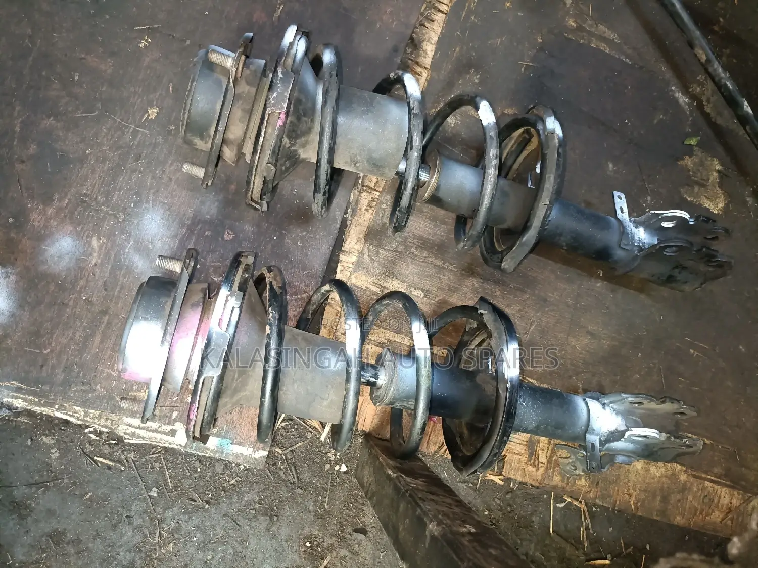 Premio Nyoka Shocks