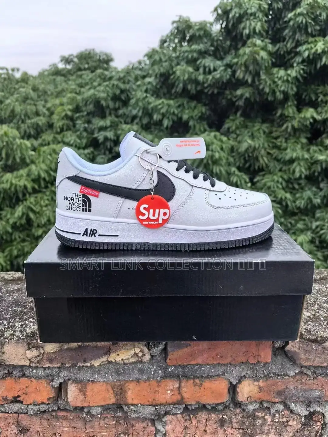 Airforce 1 the North Face Gucci
