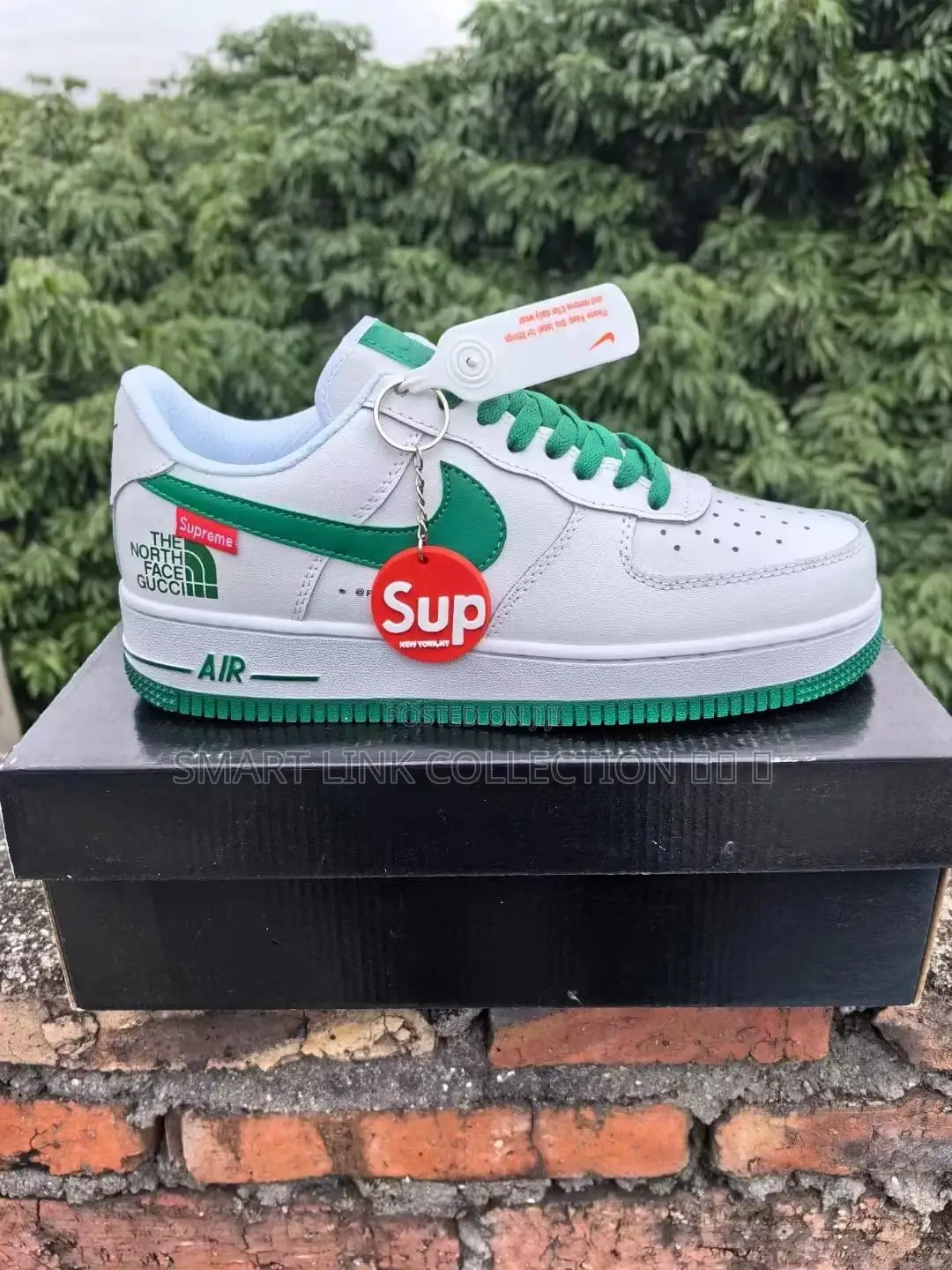 Airforce 1 the North Face Gucci