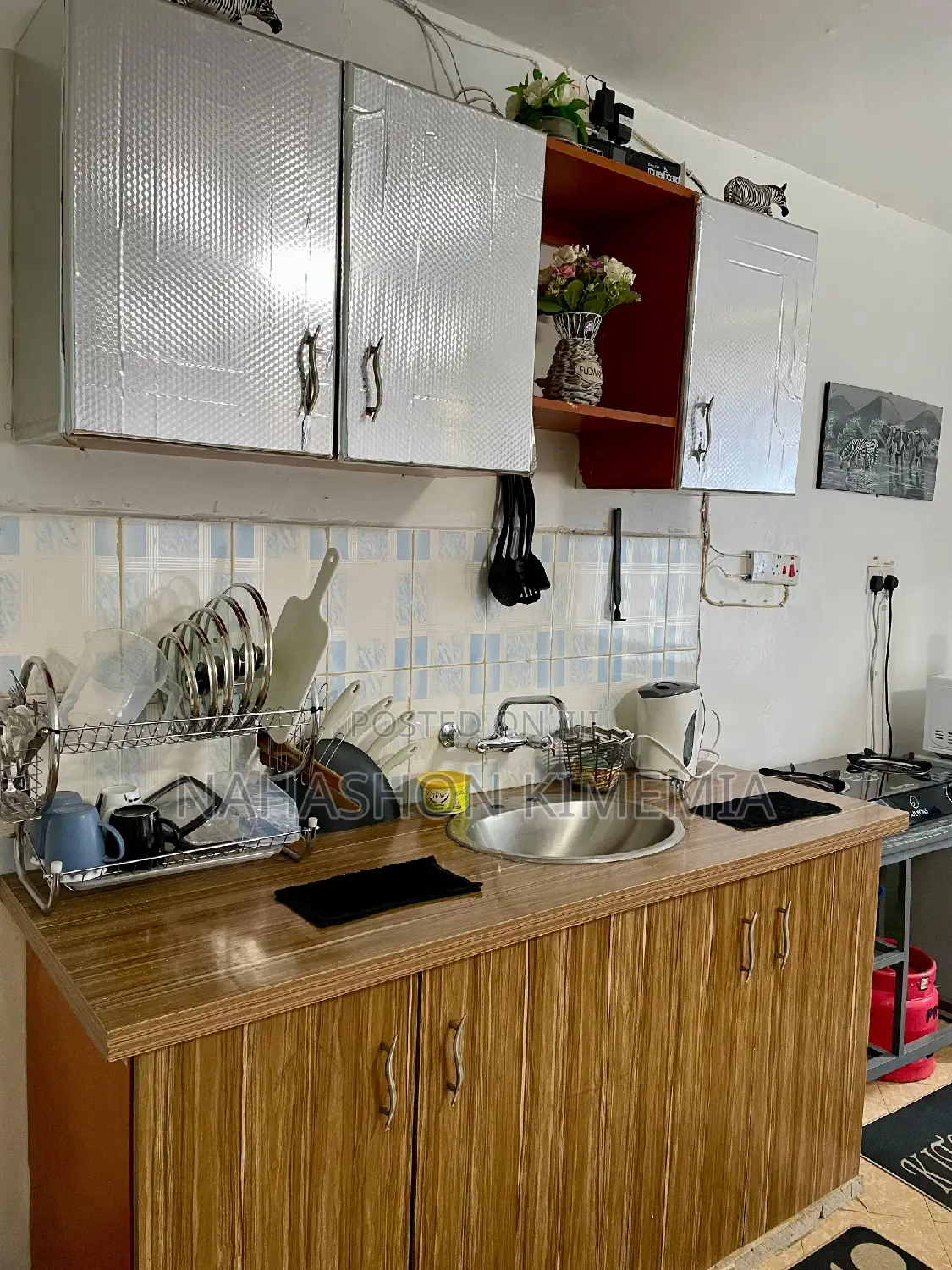 Dalmatian Airbnb Studio at TRM Drive Roysambu Thika Road