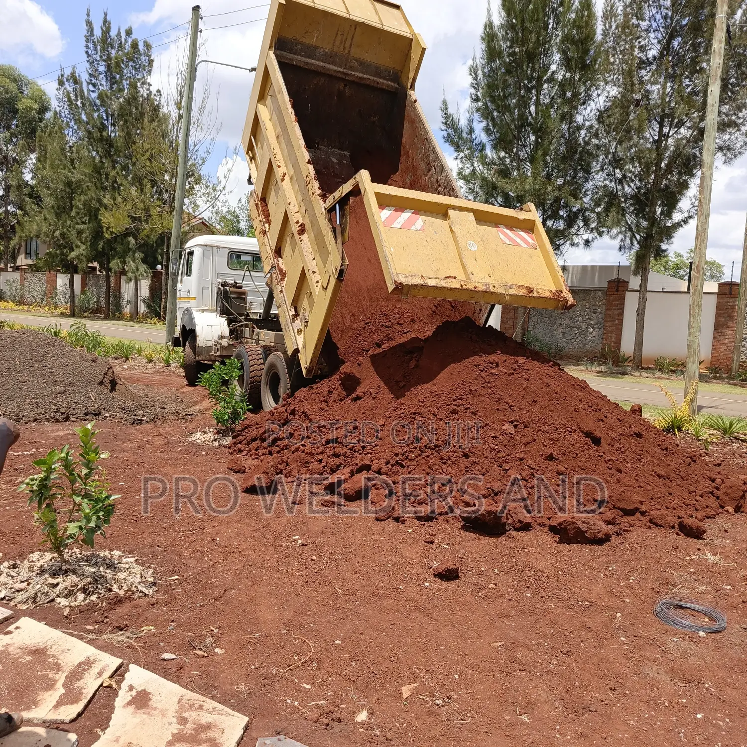 Virgin Redsoil on Sale