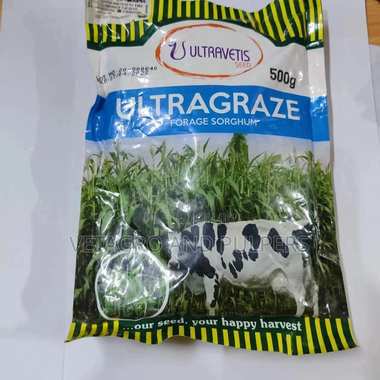 Ultragraze Forage Sorghum