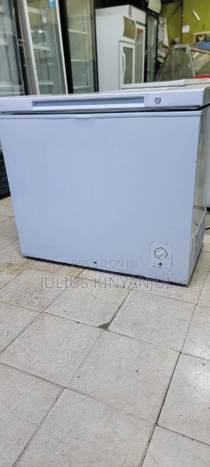 Deep Freezer 250L