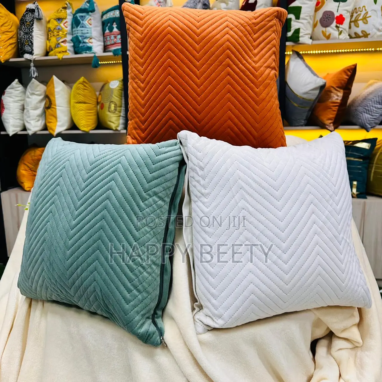 Velvet Plush Throw Pillows