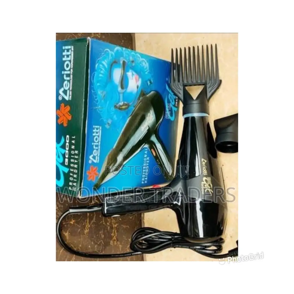 Ceriotti Professional Blow Dryer