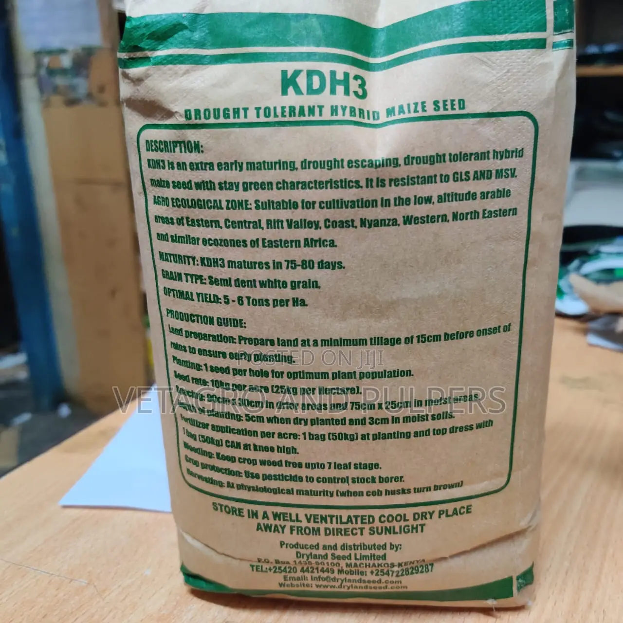 Maize KDH3 Mituki Seeds