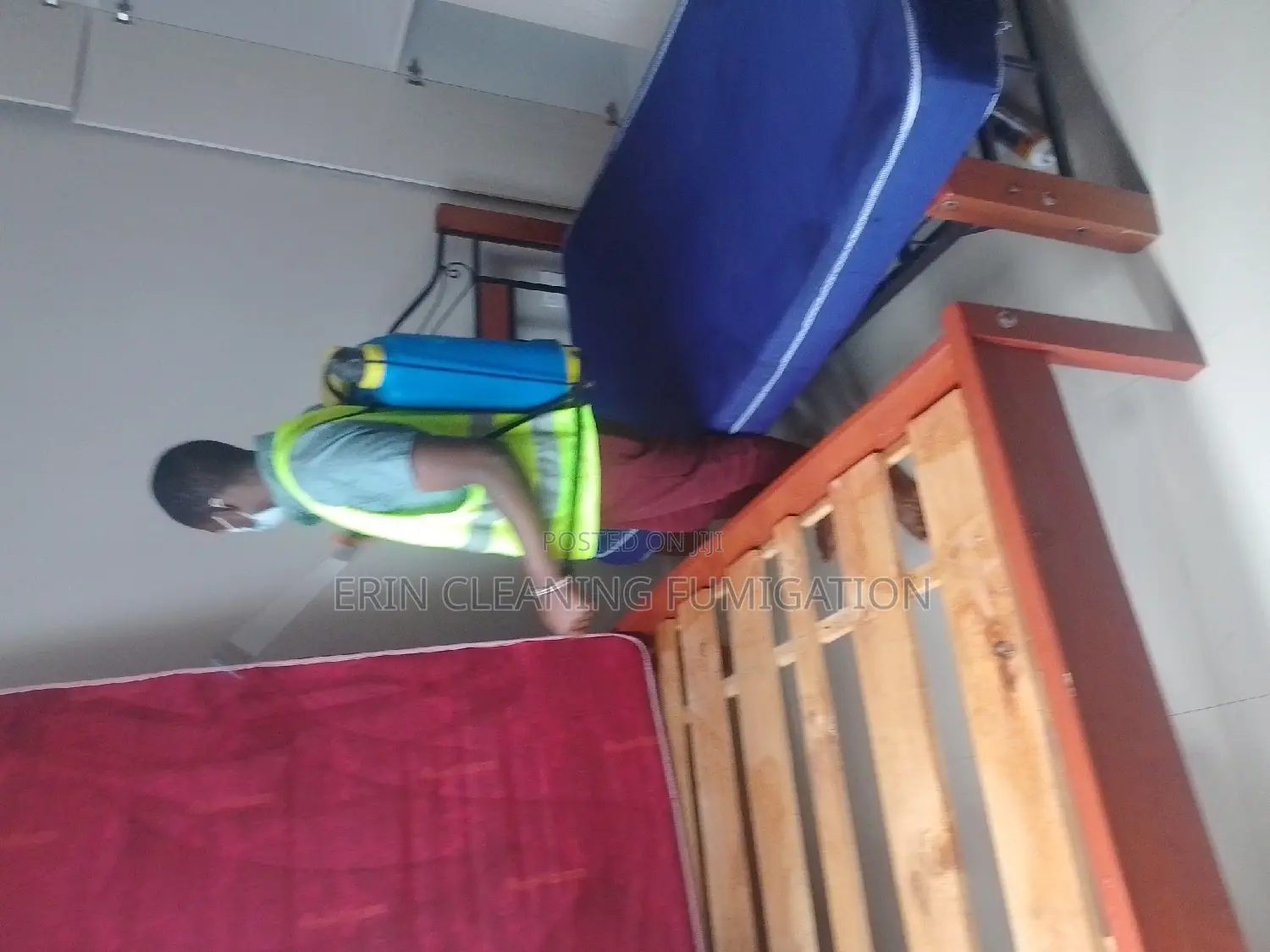 Bed and Sofa Fumigation Services