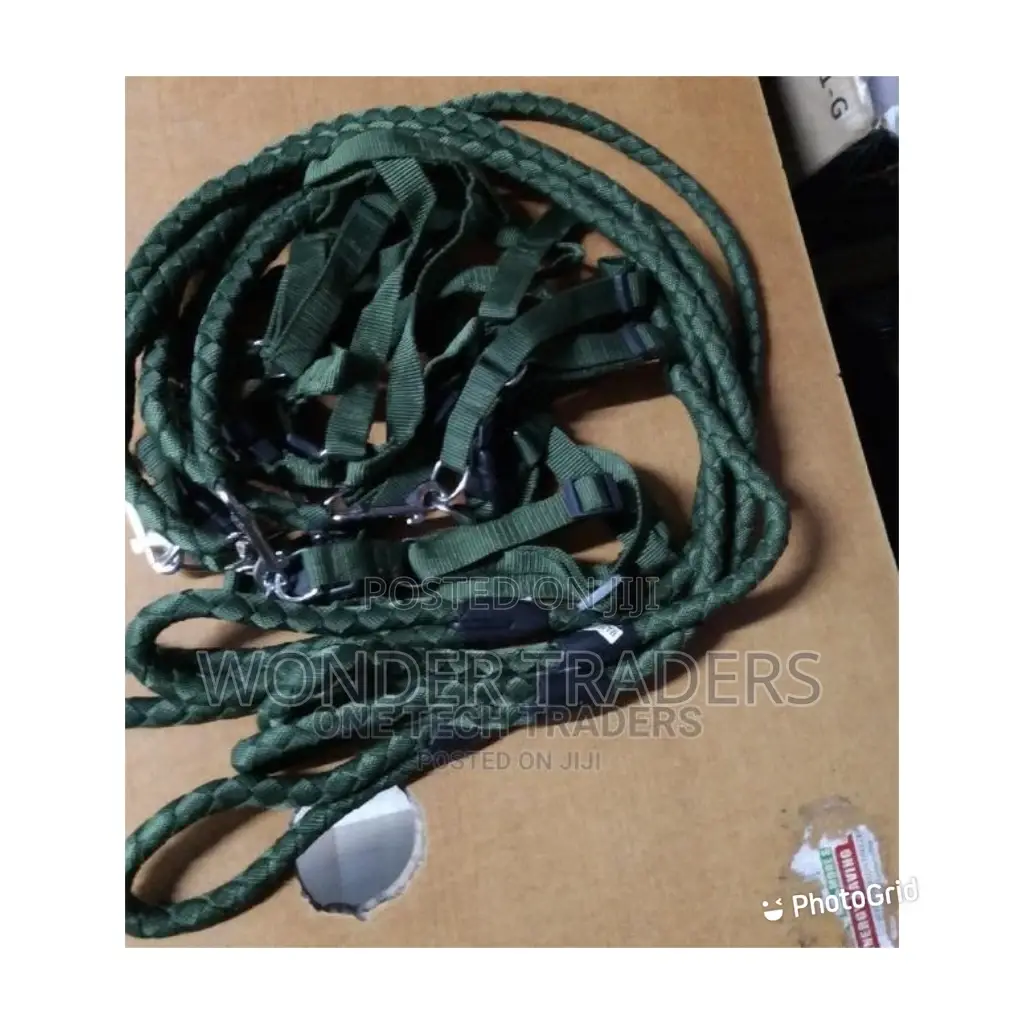 Dog Leash, 1.5m Long, Synthetic Material
