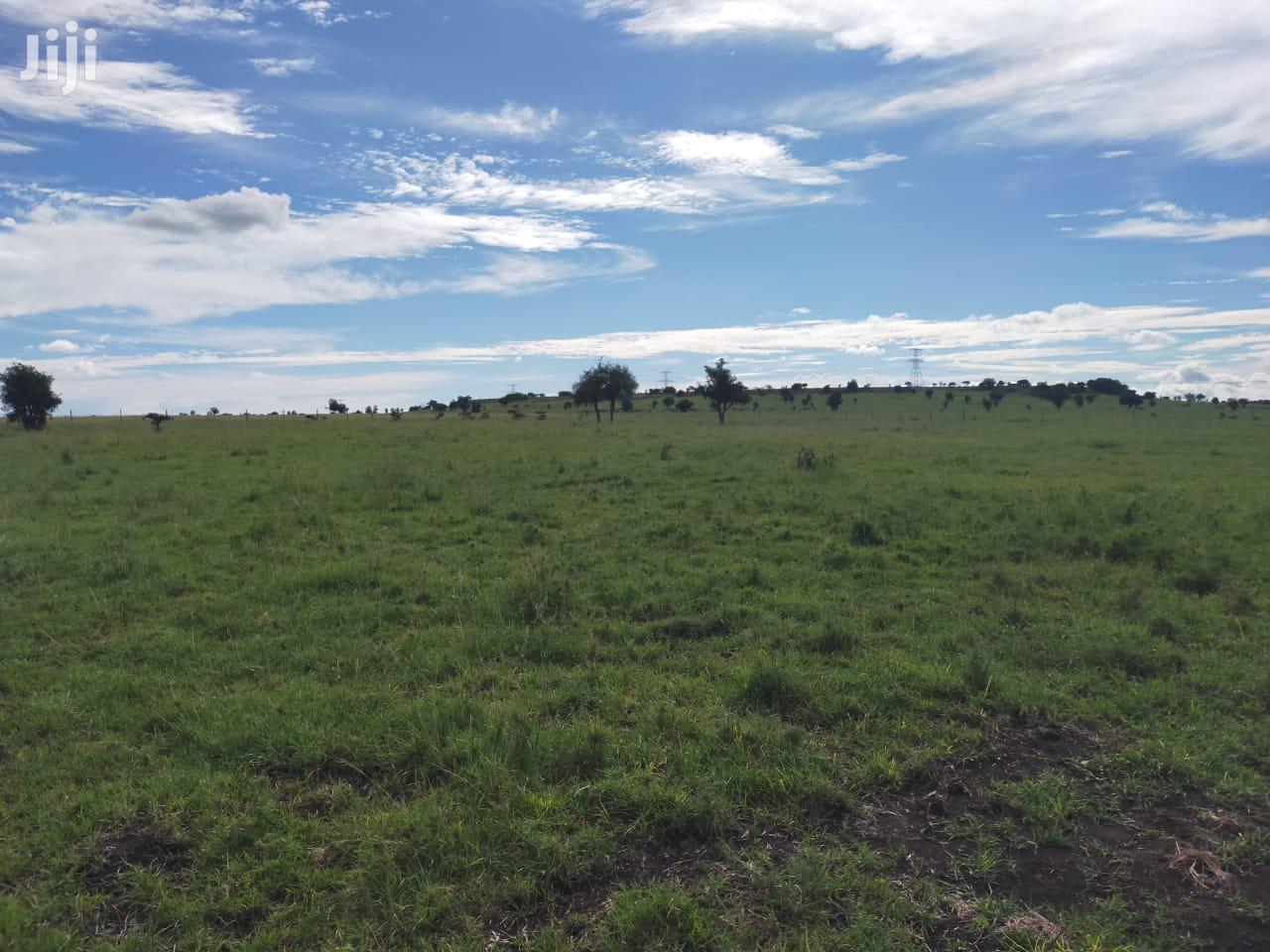 9acres Kitengela Ostrich Farm Price Per Acre