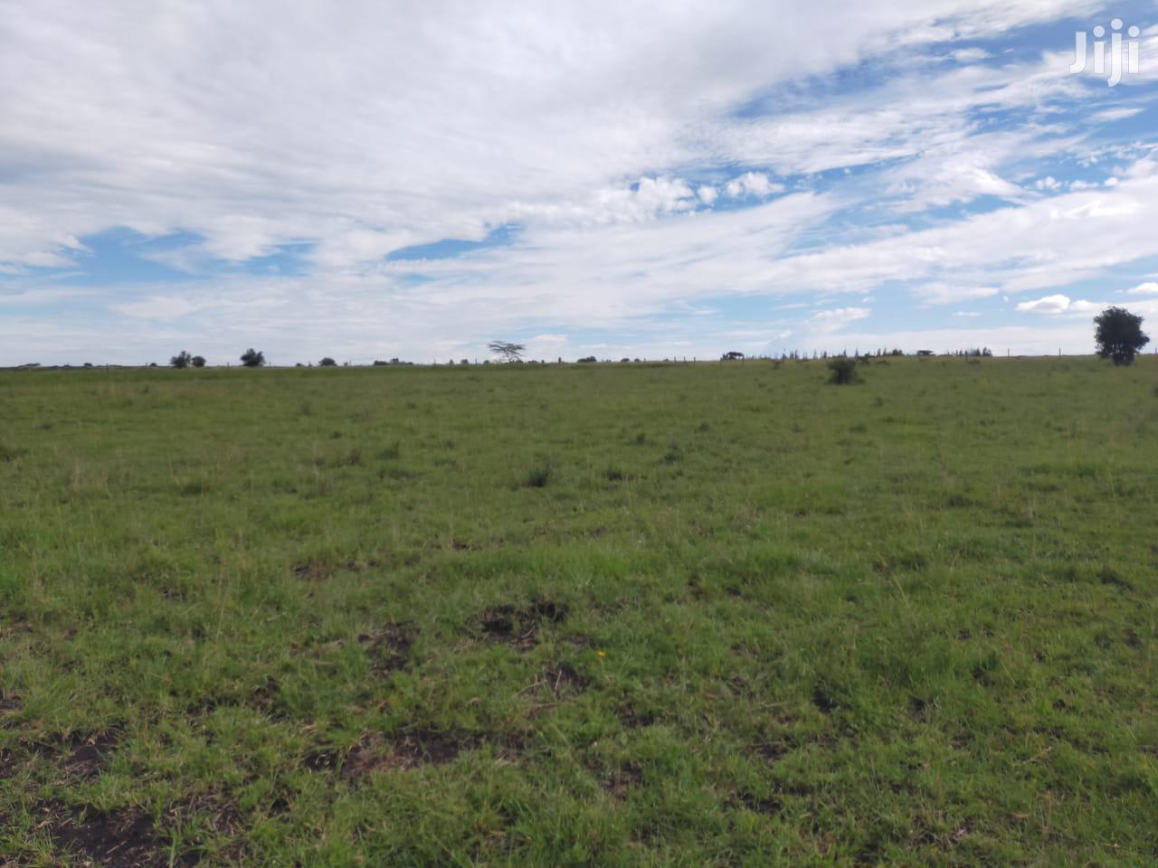 9acres Kitengela Ostrich Farm Price Per Acre
