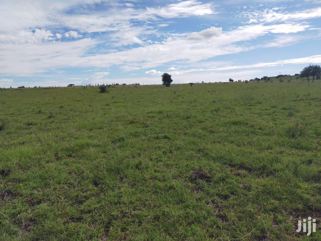 9acres Kitengela Ostrich Farm Price Per Acre