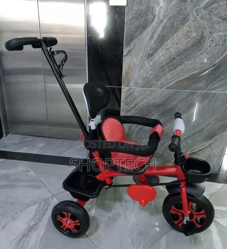 Push Tricycle With Side Bar