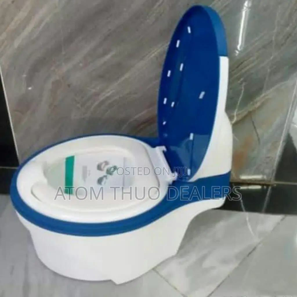 Fancy Potty/Toilet Training