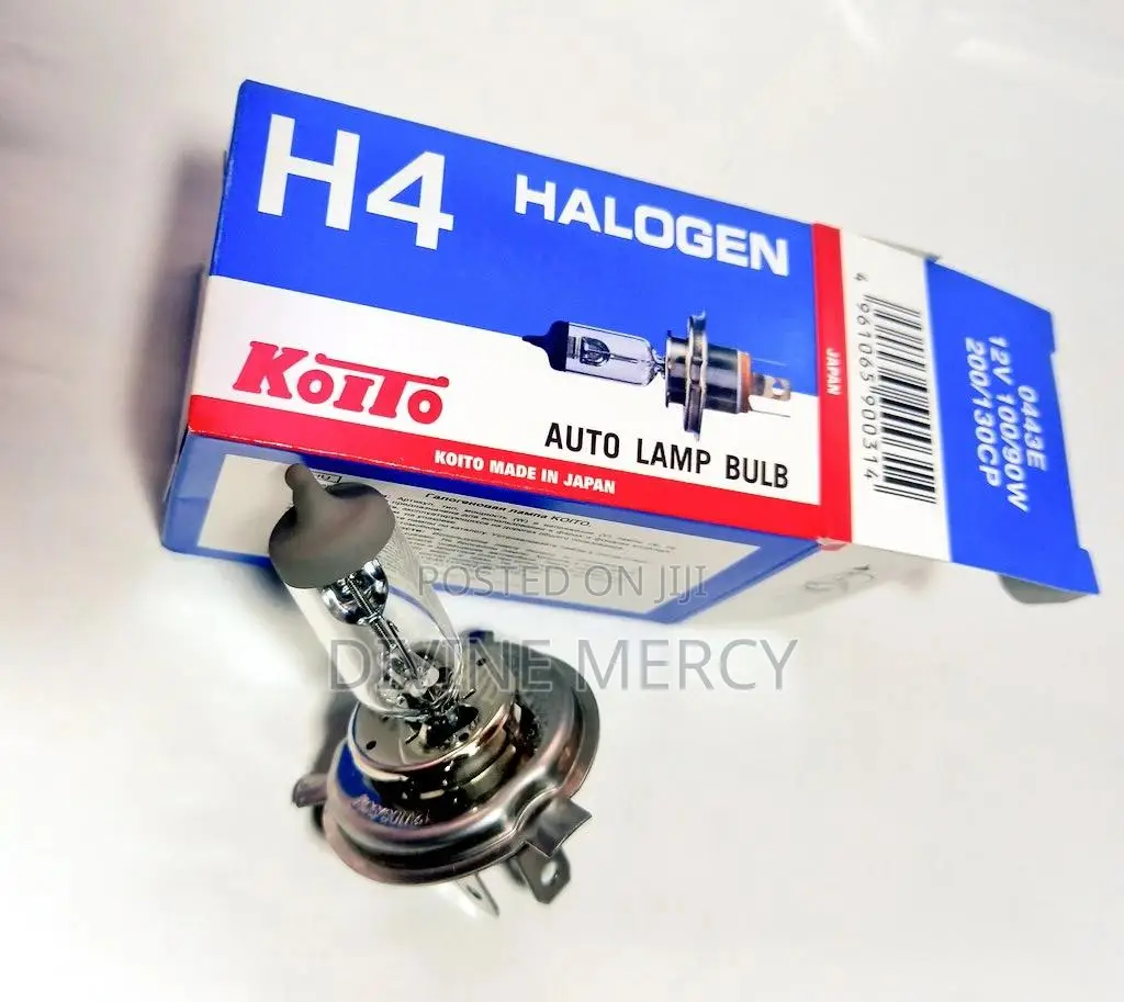 Halogen H4 Bulbs (Original)